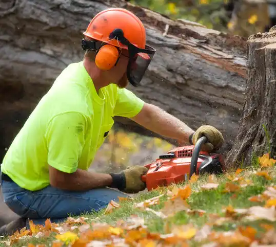 tree services Sturgeon